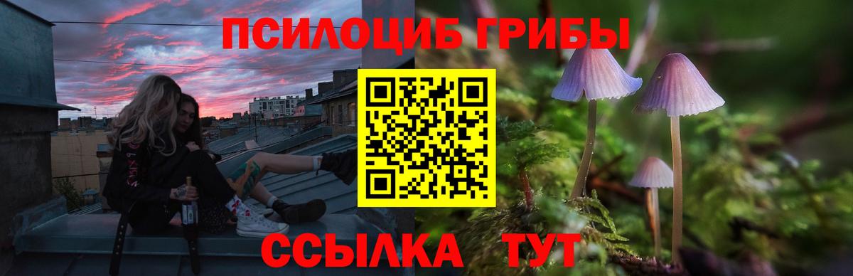 Псилоцибиновые грибы мухоморы  Вход с VPN  Галлюциногенные грибы Psilocybine cubensis  Тихорецк 